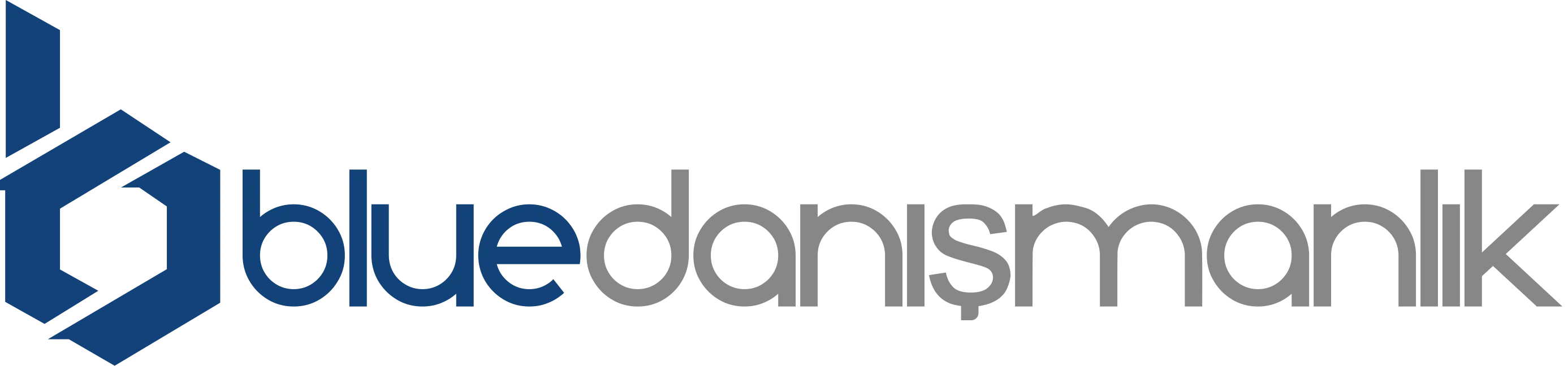 Blue Danışmanlık Logo